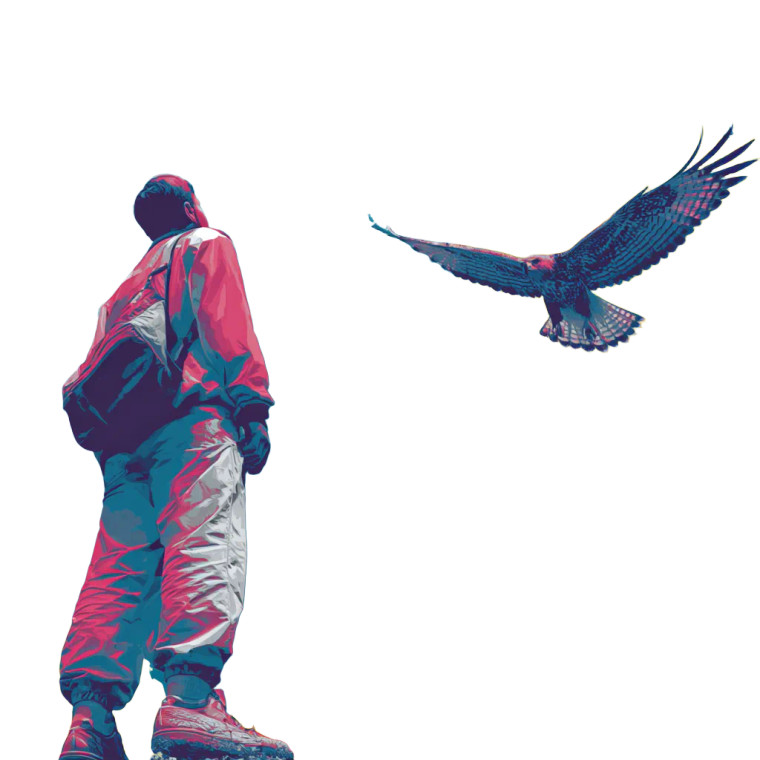 Eagle'S Gaze Vinyl Car Decal Sticker – Waterproof & UV-Resistant 3.4133333333333336"