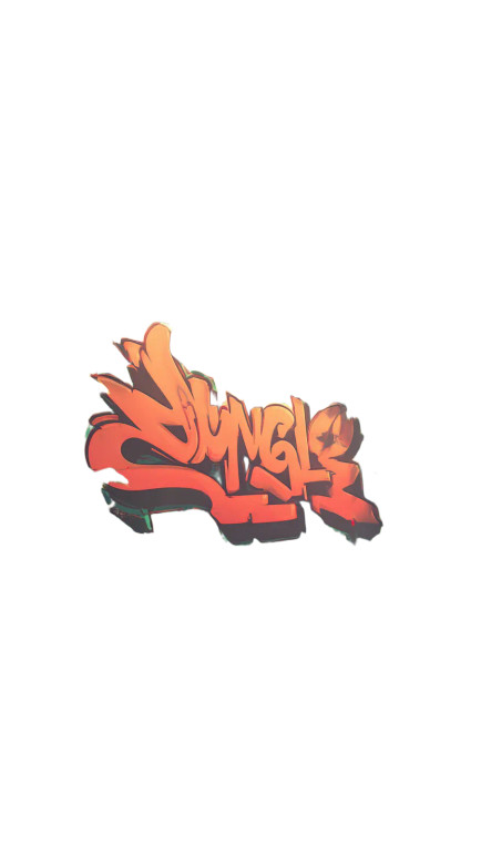 Graffiti Jungle Boys Vinyl Car Decal Sticker – Waterproof & UV-Resistant 4.8533333333333335"