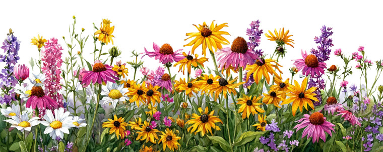 Black Eyed Susan V2 Vinyl Car Decal Sticker – Waterproof & UV-Resistant 4.586666666666667"
