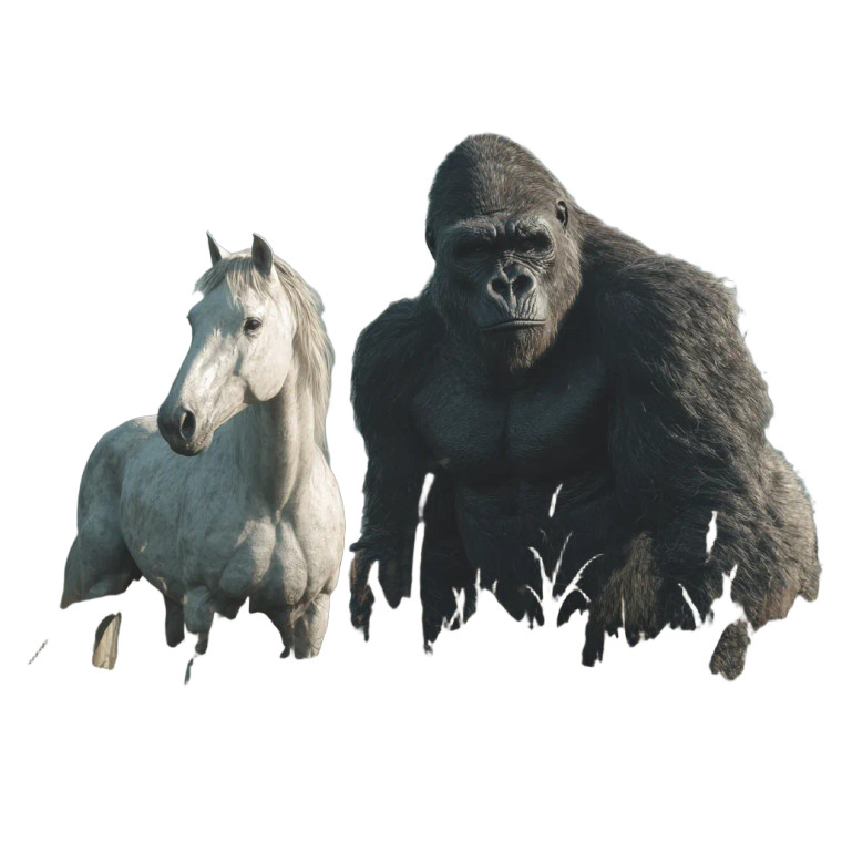 Gorilla And Horse Vinyl Car Decal Sticker – Waterproof & UV-Resistant 3.4133333333333336"