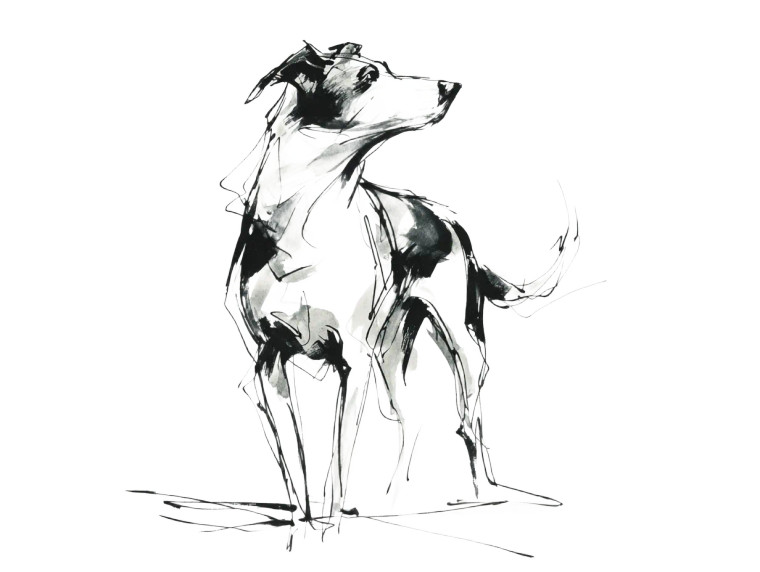 Stylish Dog Sketch Vinyl Car Decal Sticker – Waterproof & UV-Resistant 6.1866666666666665"