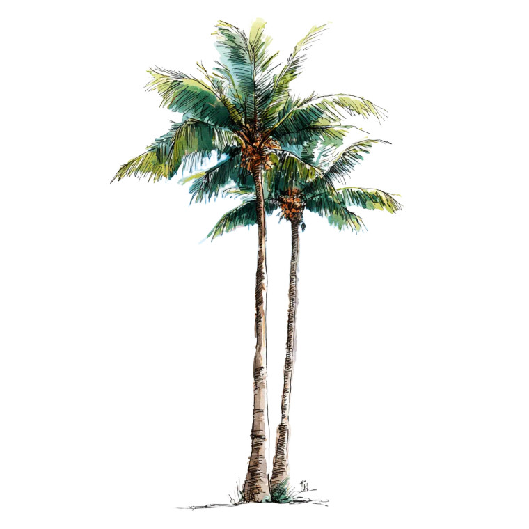 Tall Palm Tree V2 Vinyl Car Decal Sticker – Waterproof & UV-Resistant 3.4133333333333336"