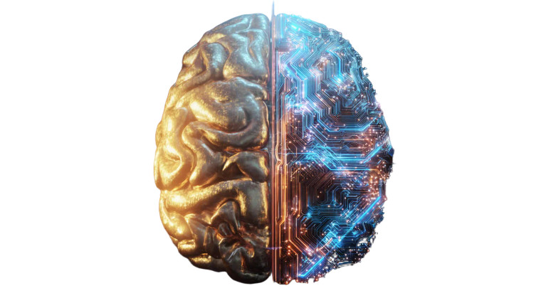 Artistic Split Brain V2 Vinyl Car Decal Sticker – Waterproof & UV-Resistant 5.4