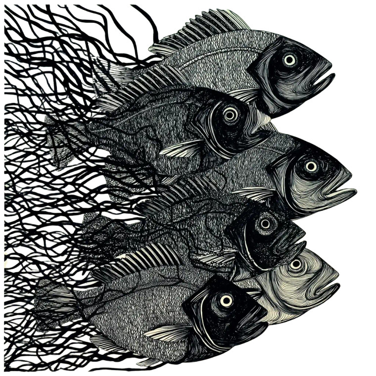 Escher'S Fish Vinyl Car Decal Sticker – Waterproof & UV-Resistant 6.826666666666667"