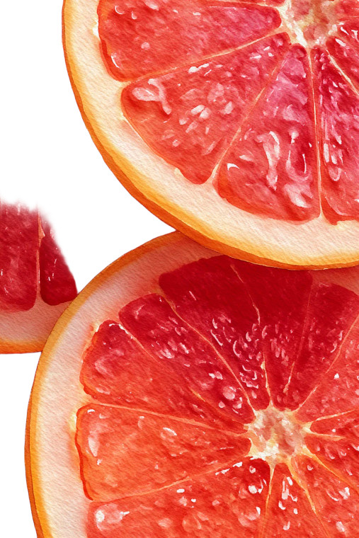Juicy Grapefruit Half Vinyl Car Decal Sticker – Waterproof & UV-Resistant 4.4