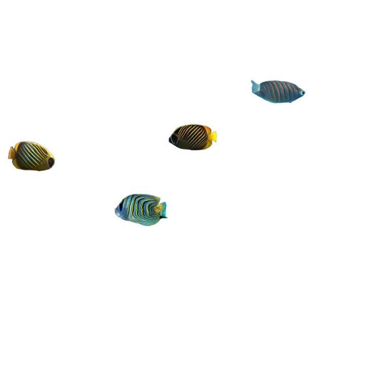 Underwater Tropical Fish Vinyl Car Decal Sticker – Waterproof & UV-Resistant 3.4133333333333336"