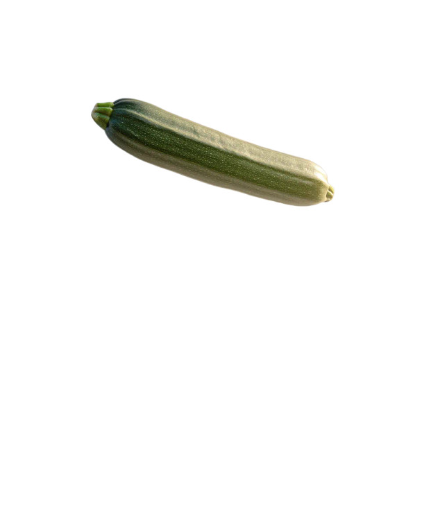Gigantic Levitating Zucchini Vinyl Car Decal Sticker – Waterproof & UV-Resistant 4.0"