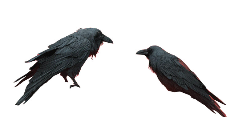 Dark Ravens Perched Vinyl Car Decal Sticker – Waterproof & UV-Resistant 2.56"