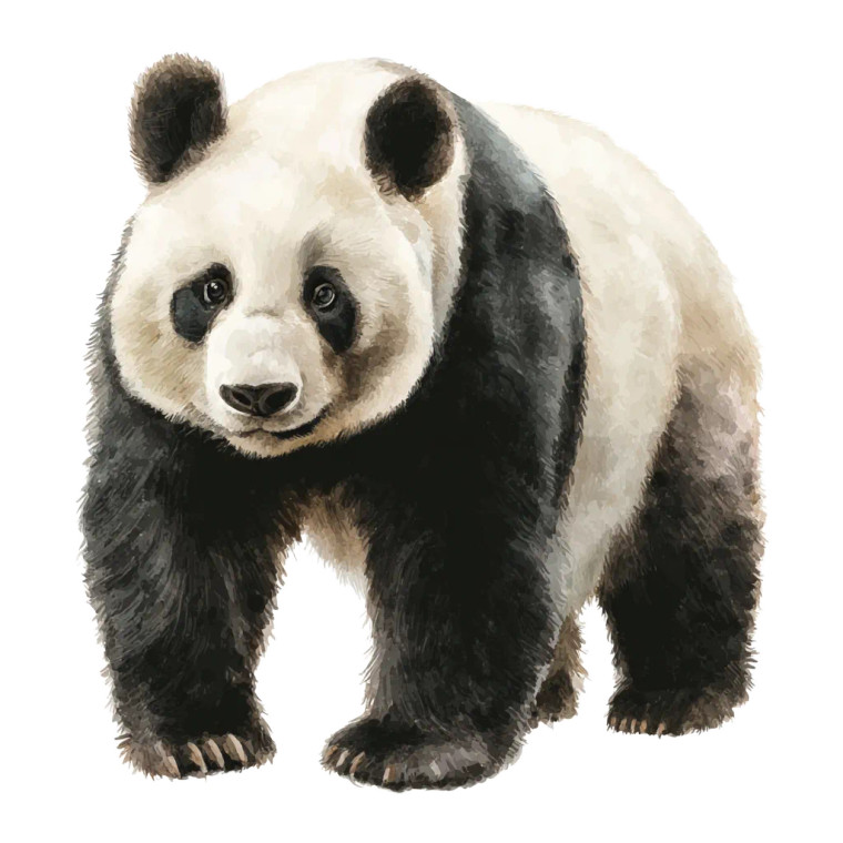 Watercolor Panda V2 Vinyl Car Decal Sticker – Waterproof & UV-Resistant 6.826666666666667"