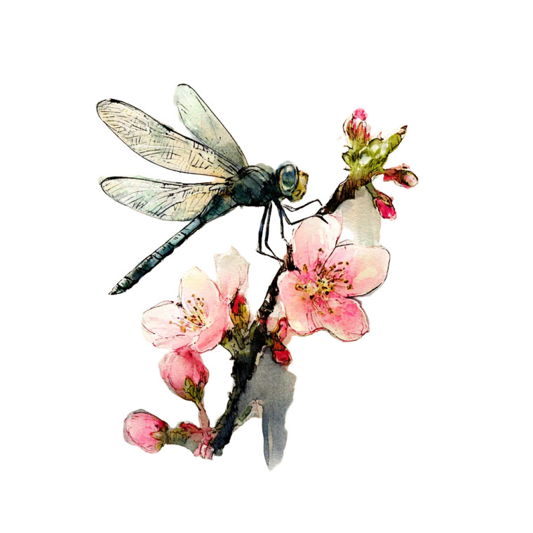 Dragonfly Stamp Art Vinyl Car Decal Sticker – Waterproof & UV-Resistant 3.4133333333333336"