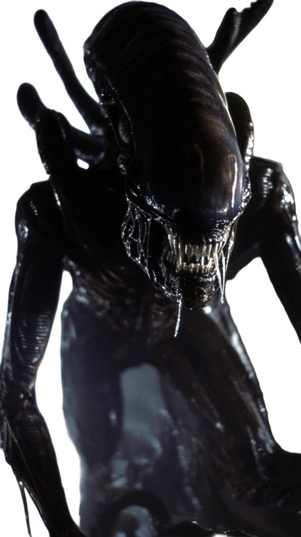 Xenomorph Crawling V2 Vinyl Car Decal Sticker – Waterproof & UV-Resistant 9.706666666666667"