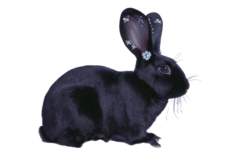 Black Rabbit On Cloud Vinyl Car Decal Sticker – Waterproof & UV-Resistant 5.97333333333333