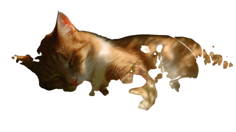 Sleeping Tabby Cat V16 Vinyl Car Decal Sticker – Waterproof & UV-Resistant 5.4