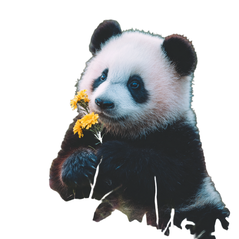 Panda With Flower Vinyl Car Decal Sticker – Waterproof & UV-Resistant 3.4133333333333336"