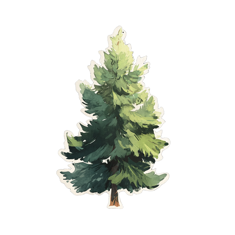 Pine Tree Sticker Vinyl Car Decal Sticker – Waterproof & UV-Resistant 3.4133333333333336"