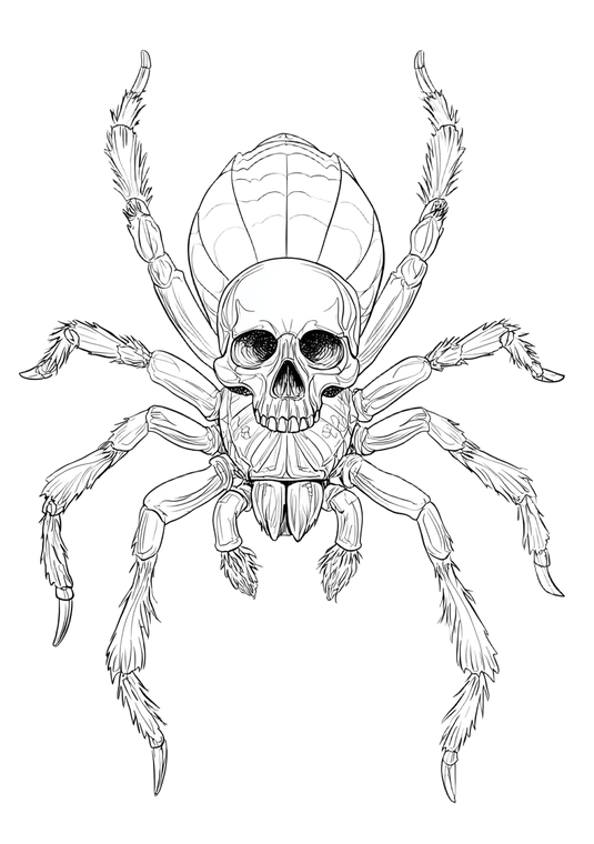 Skull-Faced Spider Vinyl Car Decal Sticker – Waterproof & UV-Resistant 4.32"