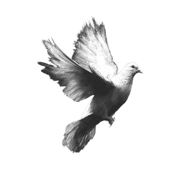 Dove Taking Flight Vinyl Car Decal Sticker – Waterproof & UV-Resistant 3.4133333333333336"