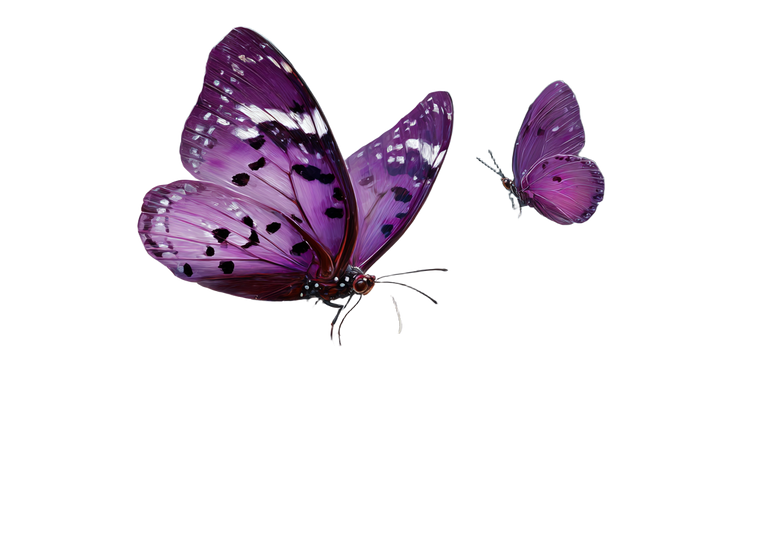 Vibrant Butterfly Perched Vinyl Car Decal Sticker – Waterproof & UV-Resistant 3.0933333333333333"