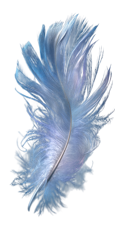 Elegant Feather Vinyl Car Decal Sticker – Waterproof & UV-Resistant 5.12"