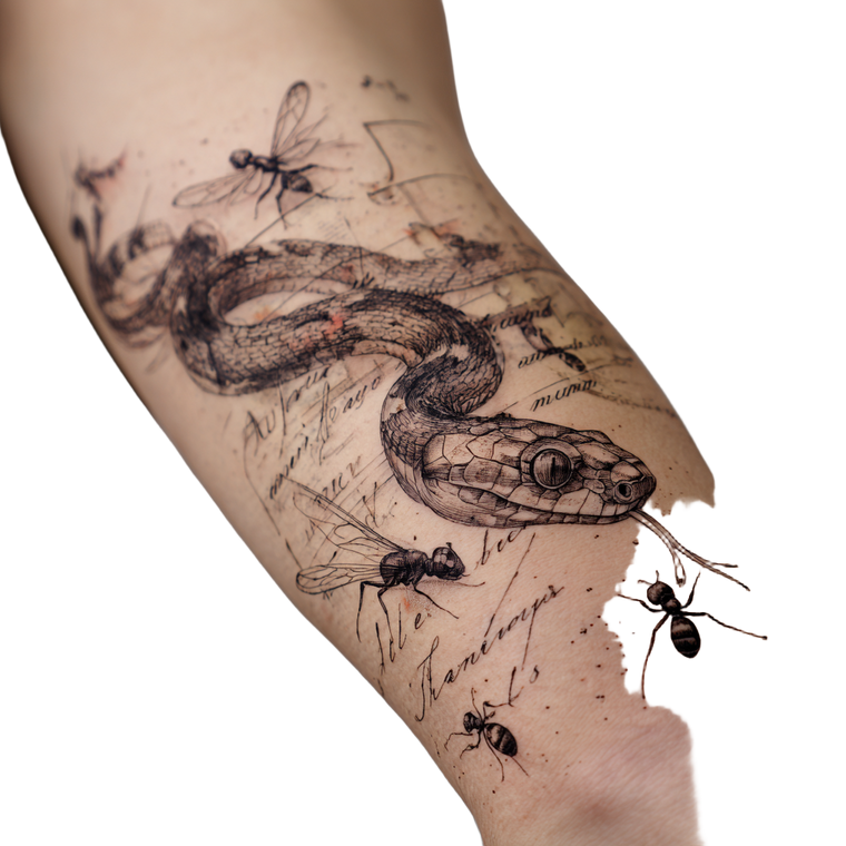 Snake Tattoo Ants Vinyl Car Decal Sticker – Waterproof & UV-Resistant 6.826666666666667"