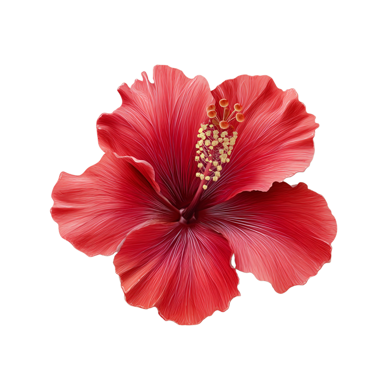 Red Hibiscus Flower V6 Vinyl Car Decal Sticker – Waterproof & UV-Resistant 6.826666666666667"