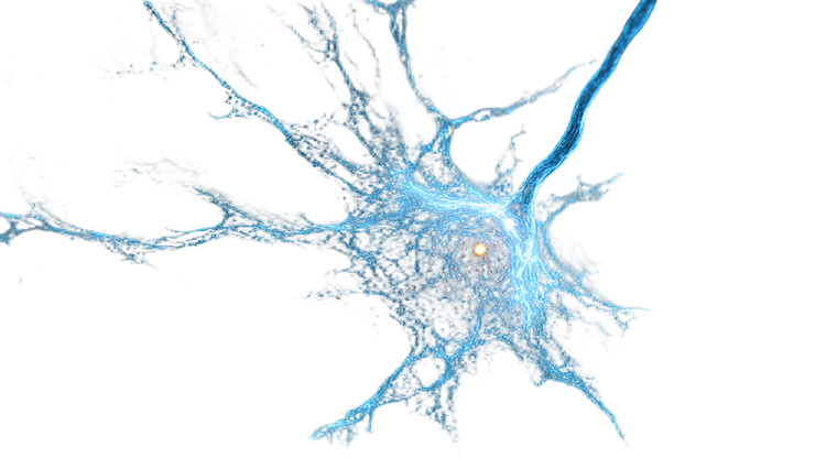 Glowing Neural Cell Vinyl Car Decal Sticker – Waterproof & UV-Resistant 2.72"