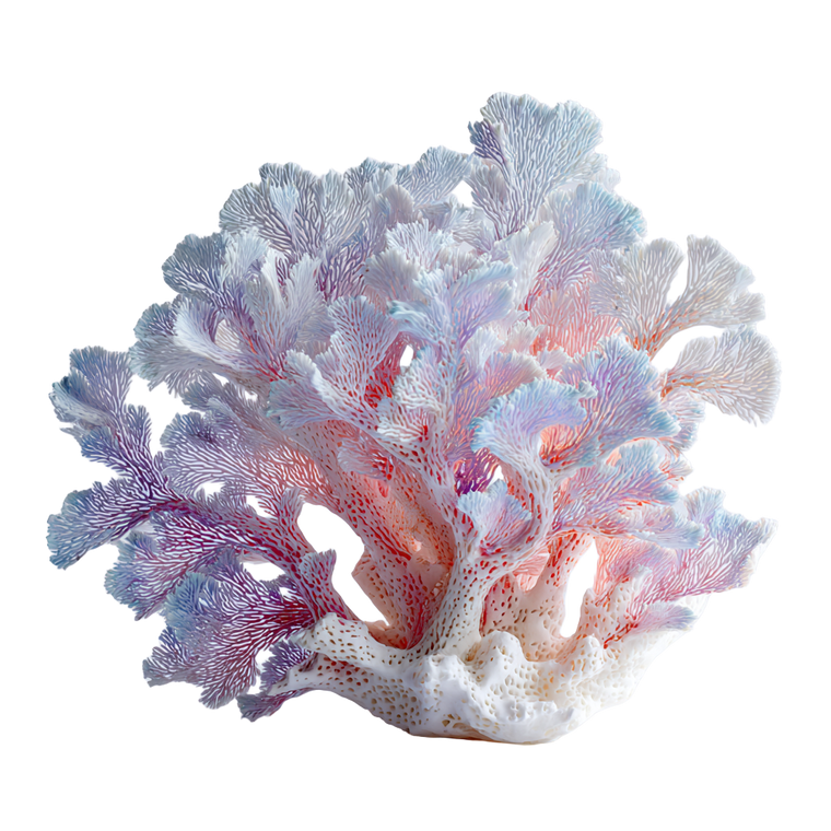 Coral Reef V4 Vinyl Car Decal Sticker – Waterproof & UV-Resistant 3.4133333333333336"