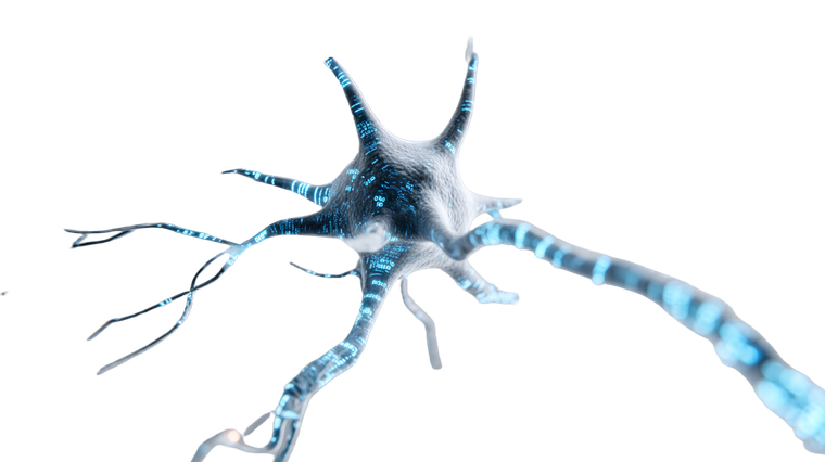 Digital Neuron Fusion Vinyl Car Decal Sticker – Waterproof & UV-Resistant 5.4