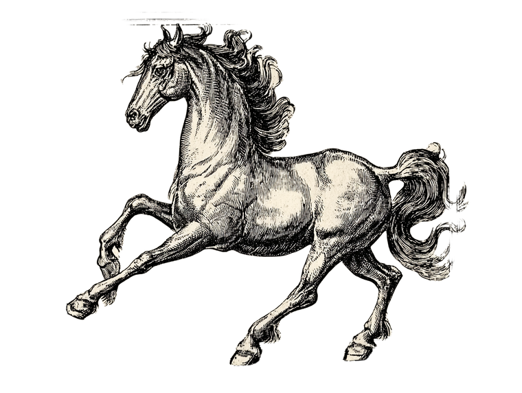 Running Horse V18 Vinyl Car Decal Sticker – Waterproof & UV-Resistant 3.0933333333333333"