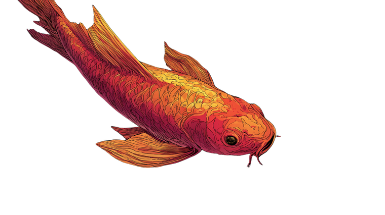 Colorful Koi Comic Vinyl Car Decal Sticker – Waterproof & UV-Resistant 2.72"