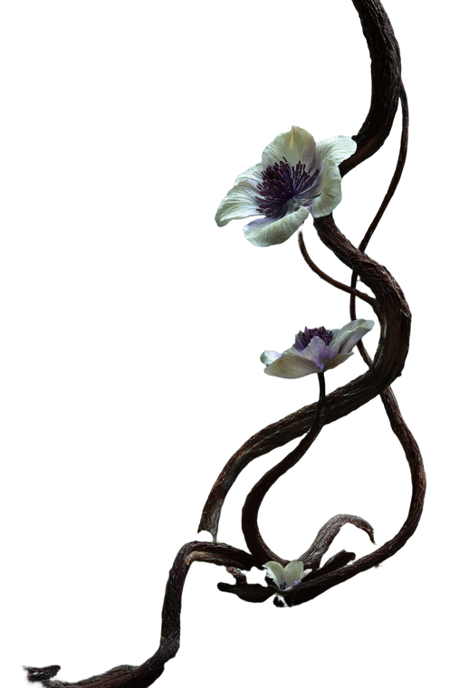 Gnarled Vine Serenity Vinyl Car Decal Sticker – Waterproof & UV-Resistant 8.96"