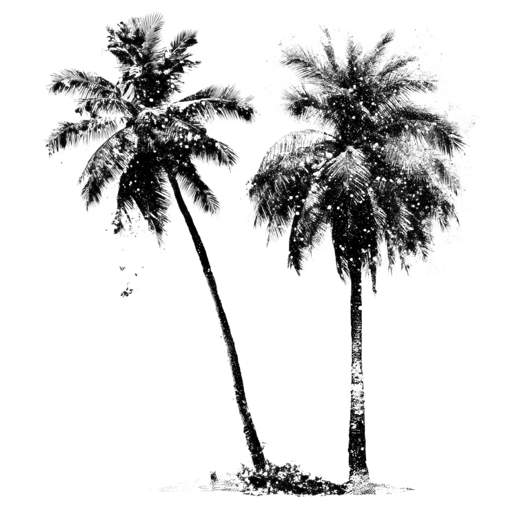 Palm Tree Icons Vinyl Car Decal Sticker – Waterproof & UV-Resistant 3.4133333333333336"