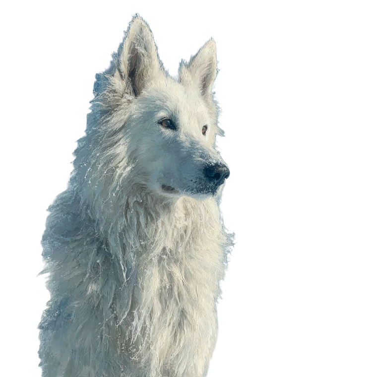 Snowy Dog Vinyl Car Decal Sticker – Waterproof & UV-Resistant 3.4133333333333336"