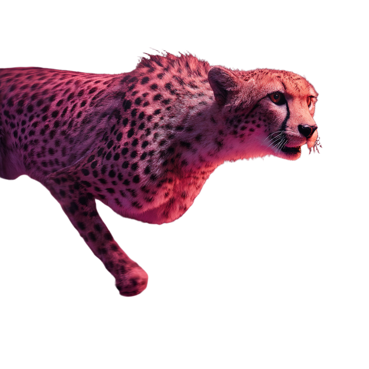 Cinematic Cheetah Vinyl Car Decal Sticker – Waterproof & UV-Resistant 6.826666666666667"