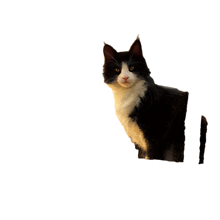 Smug Ship Cat Vinyl Car Decal Sticker – Waterproof & UV-Resistant 3.4133333333333336"