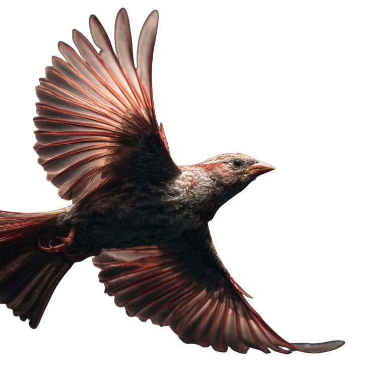 Flying Bird V5 Vinyl Car Decal Sticker – Waterproof & UV-Resistant 3.4133333333333336"