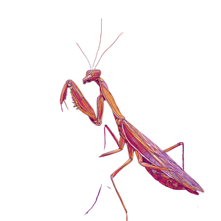 Abstract Mantis Vinyl Car Decal Sticker – Waterproof & UV-Resistant 3.4133333333333336"