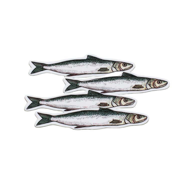 Sardine Sticker Vinyl Car Decal Sticker – Waterproof & UV-Resistant 6.826666666666667"