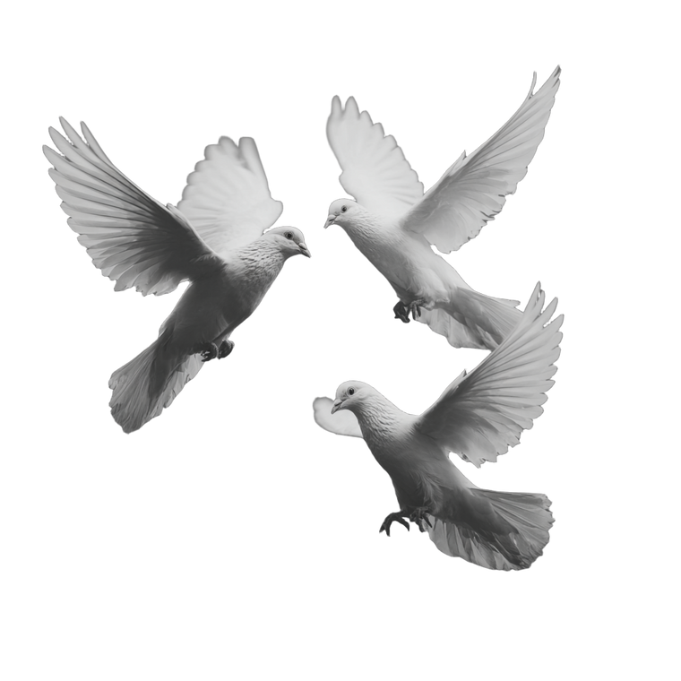 White Doves Flying V7 Vinyl Car Decal Sticker – Waterproof & UV-Resistant 6.826666666666667"