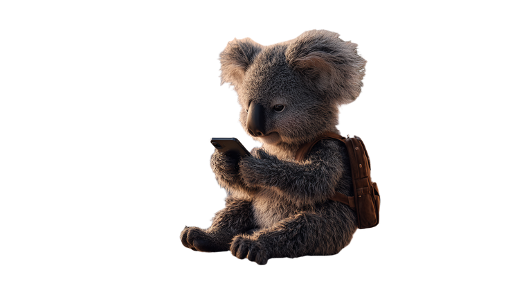 Urban Koala Vinyl Car Decal Sticker – Waterproof & UV-Resistant 5.4