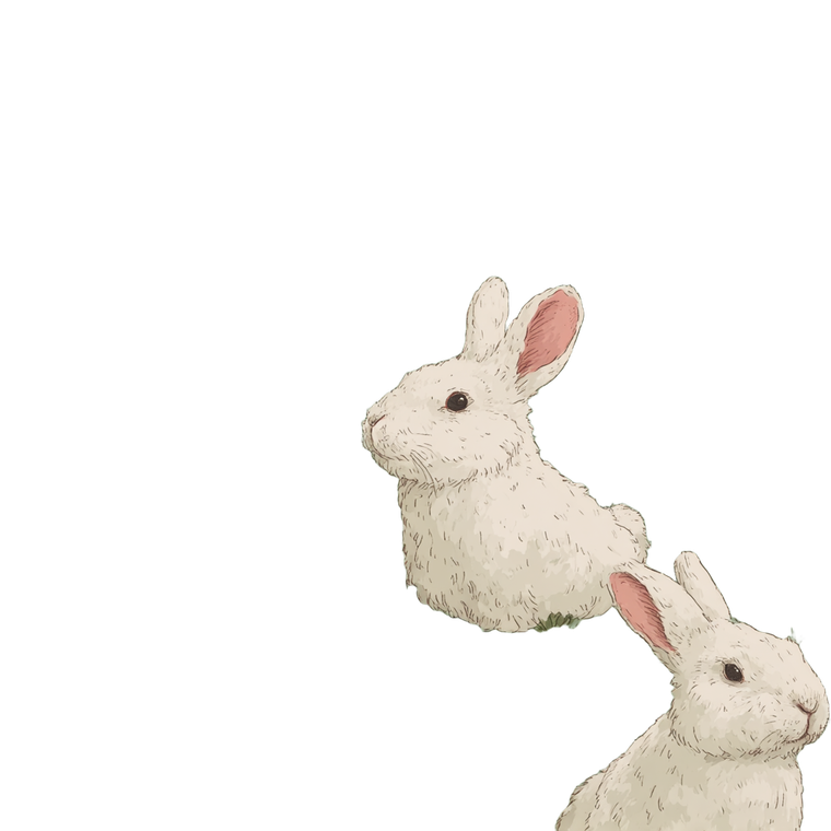 Cute Rabbit Pattern Vinyl Car Decal Sticker – Waterproof & UV-Resistant 3.4133333333333336"