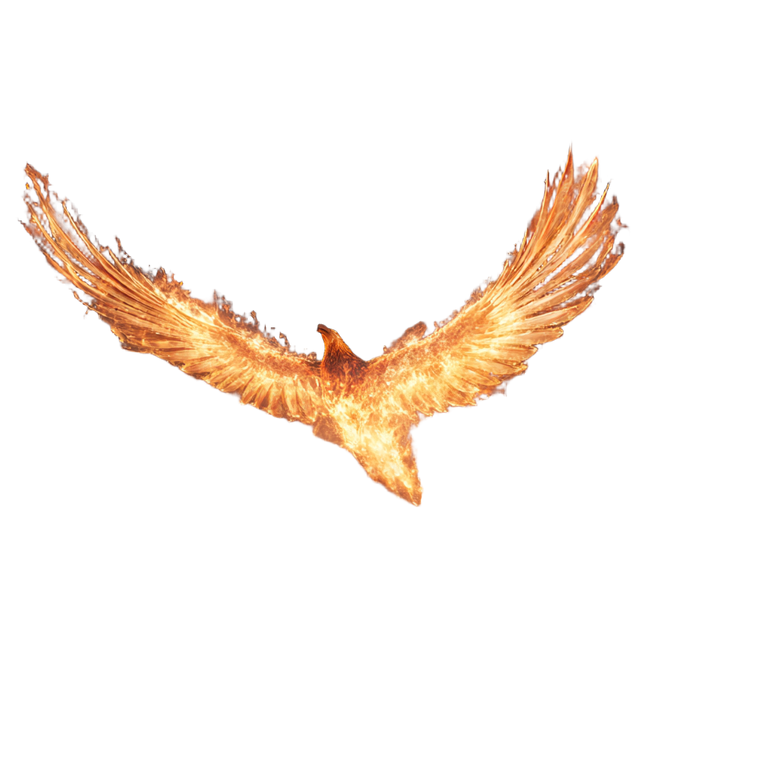 Flaming Phoenix Launch Vinyl Car Decal Sticker – Waterproof & UV-Resistant 3.4133333333333336"
