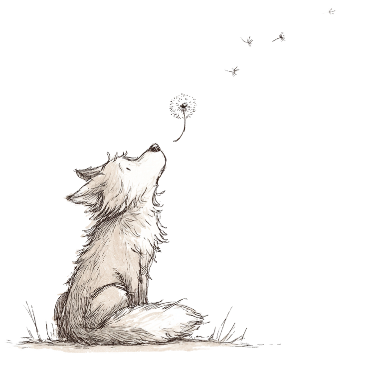 Cute Wolf Sketch Vinyl Car Decal Sticker – Waterproof & UV-Resistant 6.826666666666667"