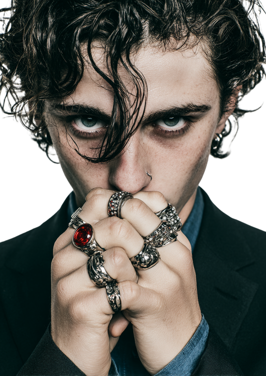Timothée Chalamet Portrait V2 Vinyl Car Decal Sticker – Waterproof & UV-Resistant 4.373333333333333"