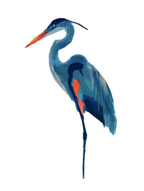 Blue Heron Illustration Vinyl Car Decal Sticker – Waterproof & UV-Resistant 8.213333333333333"