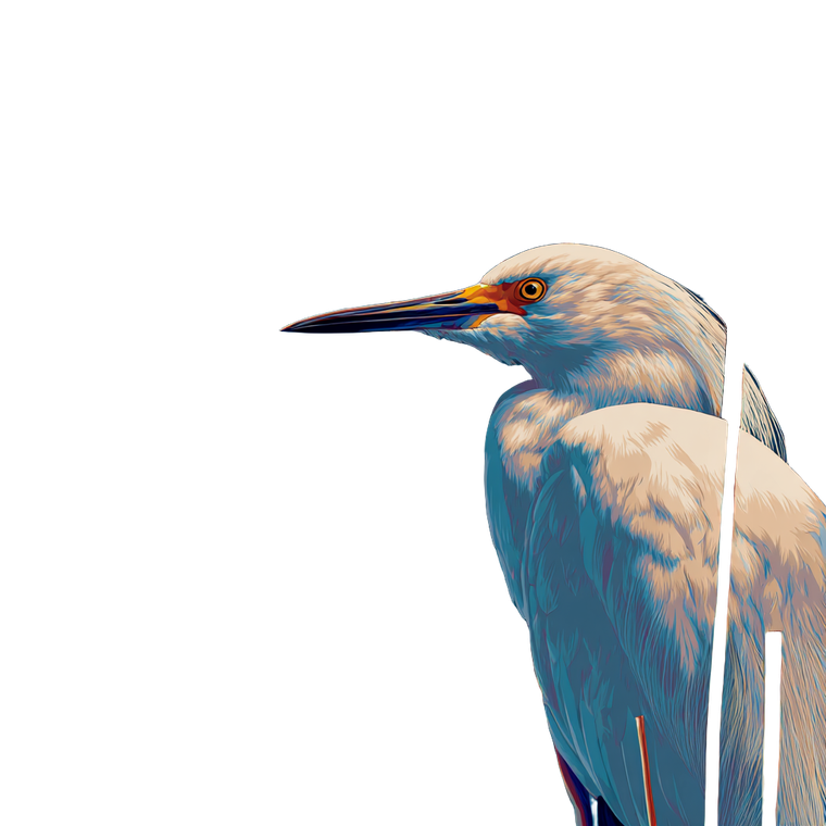 Snowy Egret Portrait Vinyl Car Decal Sticker – Waterproof & UV-Resistant 3.4133333333333336"