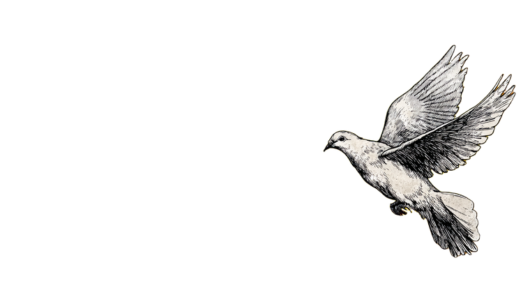 Dove Of Peace V4 Vinyl Car Decal Sticker – Waterproof & UV-Resistant 5.4