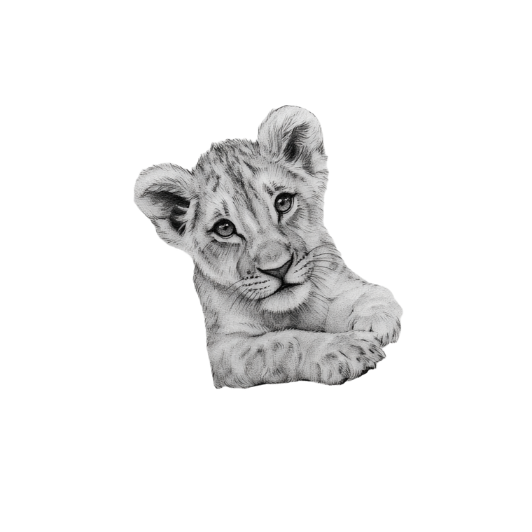 Lion Cub Tattoo Vinyl Car Decal Sticker – Waterproof & UV-Resistant 3.4133333333333336"
