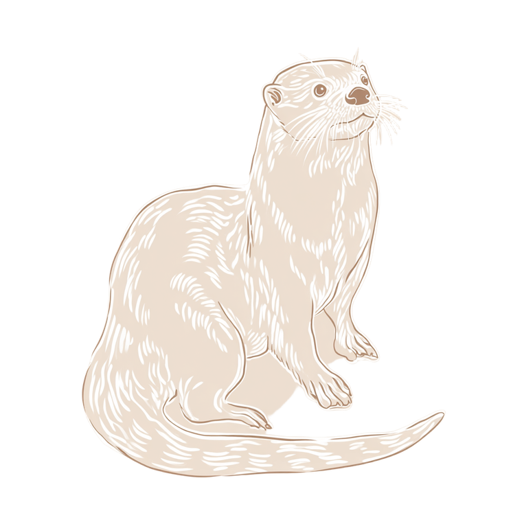 Matisse Otter Vinyl Car Decal Sticker – Waterproof & UV-Resistant 3.4133333333333336"