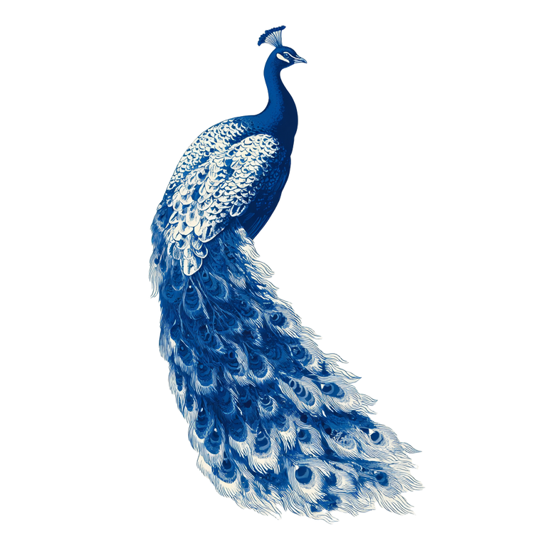 Japanese Peacock Illustration Vinyl Car Decal Sticker – Waterproof & UV-Resistant 6.826666666666667"